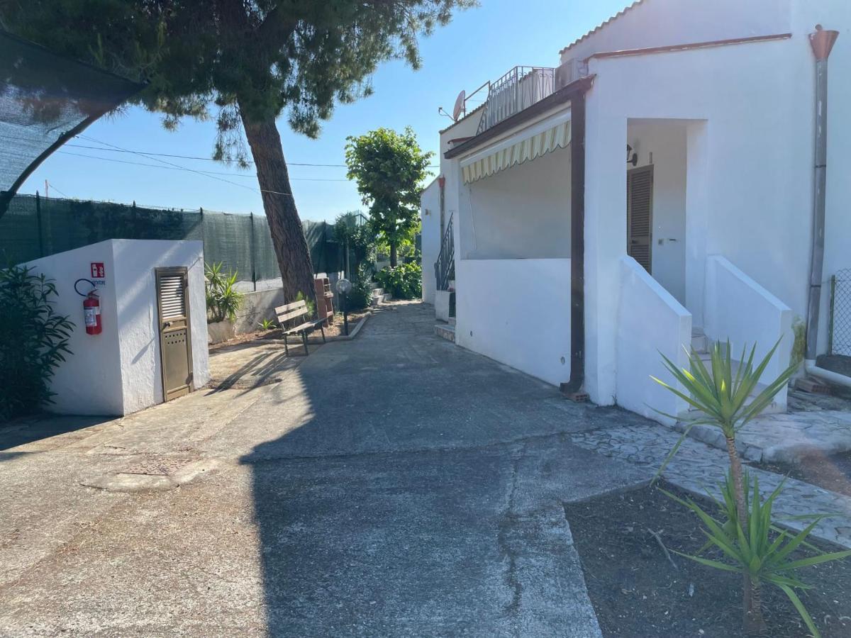 Appartamenti Le Porte Del Gargano Vieste Exteriör bild