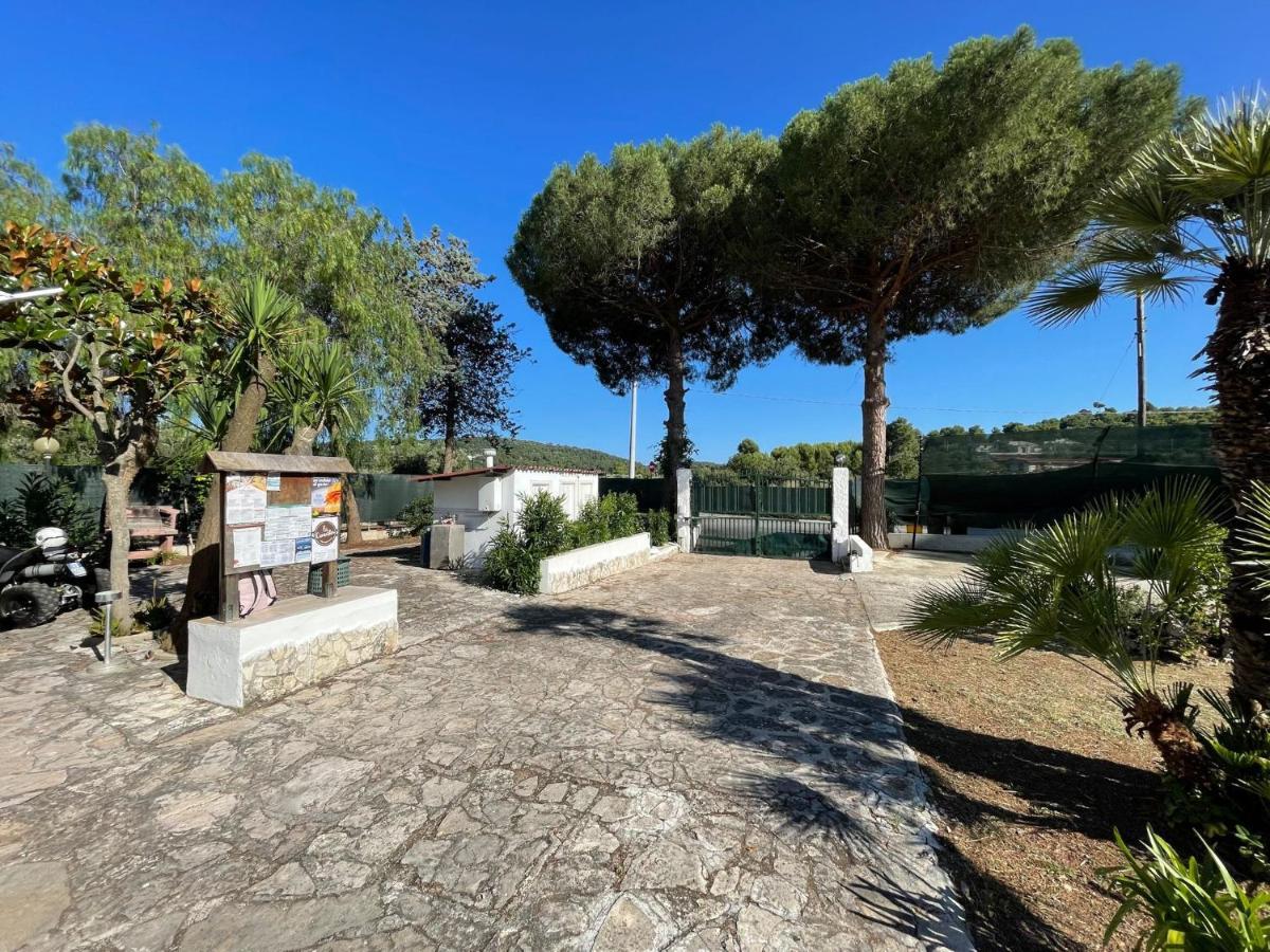 Appartamenti Le Porte Del Gargano Vieste Exteriör bild