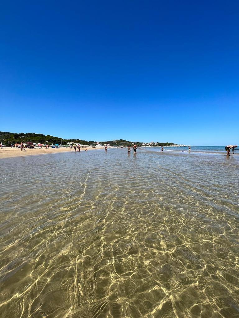 Appartamenti Le Porte Del Gargano Vieste Exteriör bild